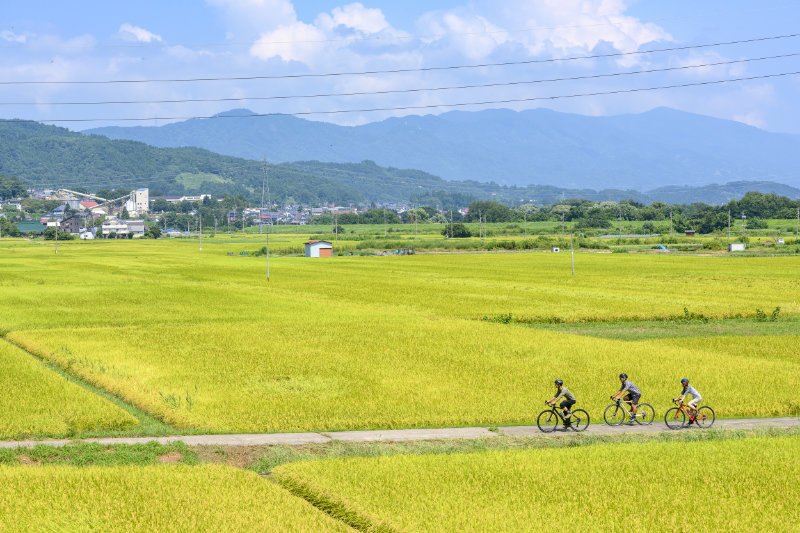 関田山脈を眺めながら農道を走る