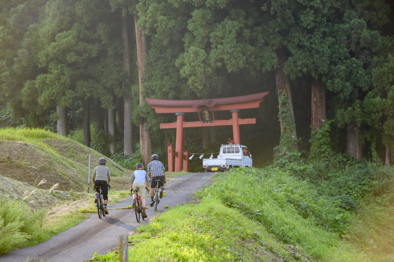 伝統的な神社やお寺もそこかしこに現れる

              