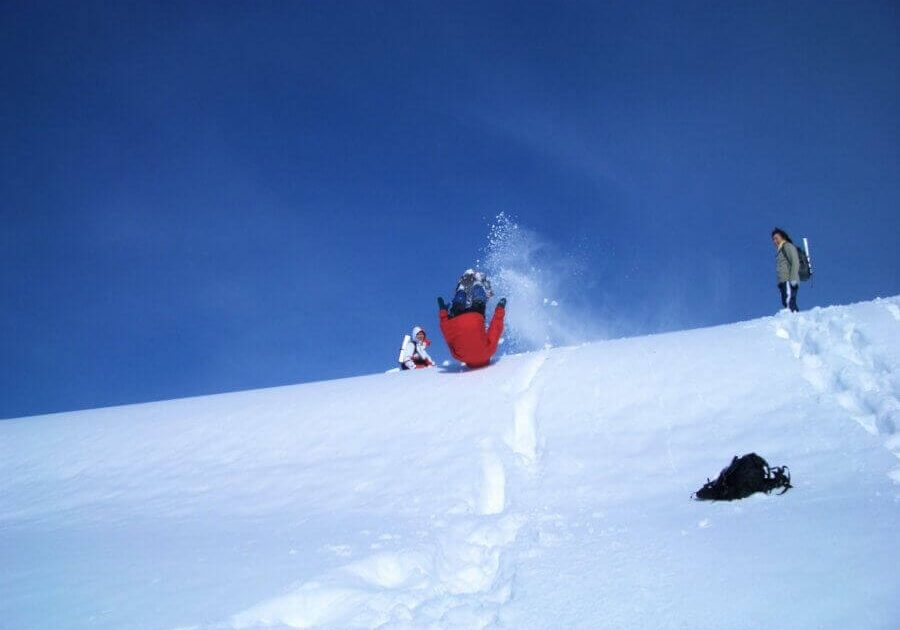 A Mori no Ie Classic! Beech Forest and Large Snow Field Snowshoe Tour