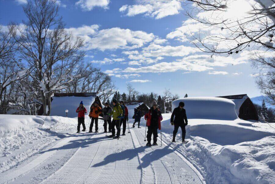 A Mori no Ie Classic! Beech Forest and Large Snow Field Snowshoe Tour