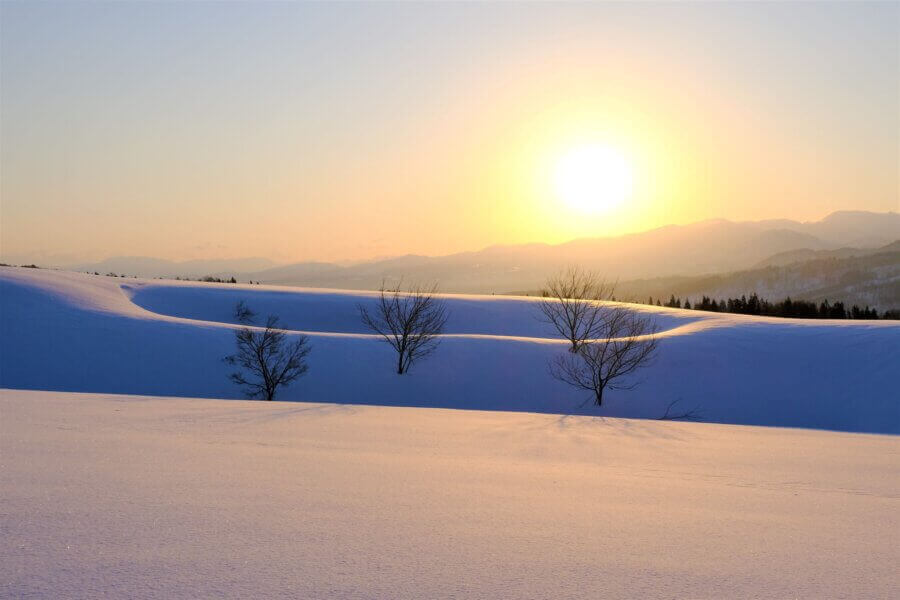 A Mori no Ie Classic! Beech Forest and Large Snow Field Snowshoe Tour