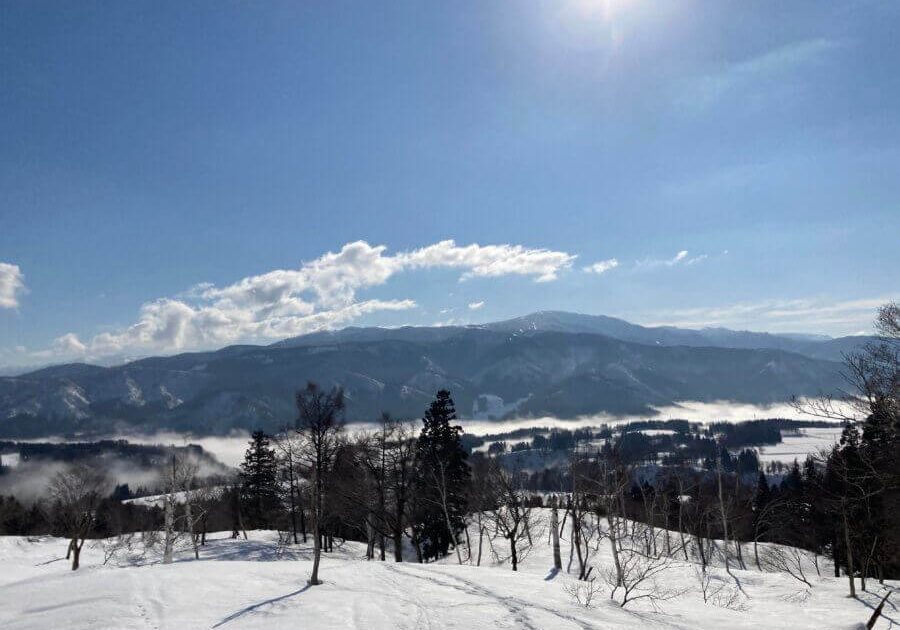 Habiroyama Beech Beauty Forest Snowshoeing