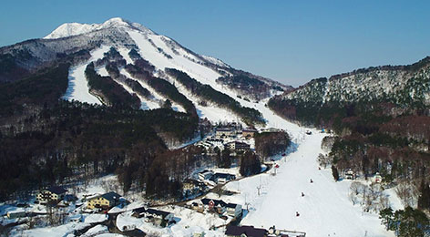信越自然郷 日本最大級スキーエリア早割共通リフトクーポン券 スーパー 