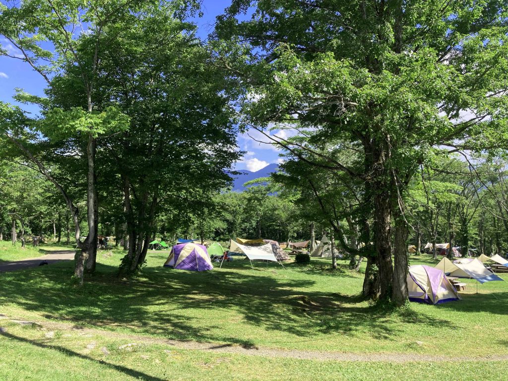 笹ヶ峰キャンプ場